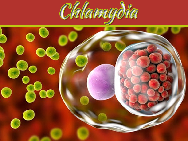 What Is Chlamydia? Symptoms And Treatment Options For Chlamydia