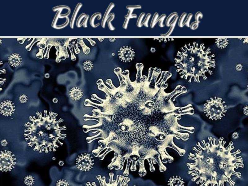 Black Fungus Infection: Symptoms, Treatment, Causes And Types