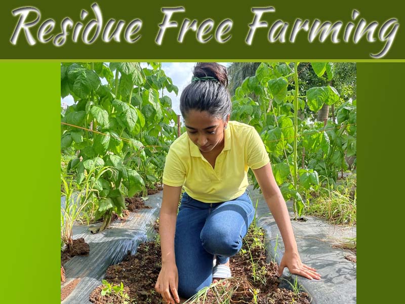 A Girl With A Farm – Bringing You Closer To Residue Free Farming!