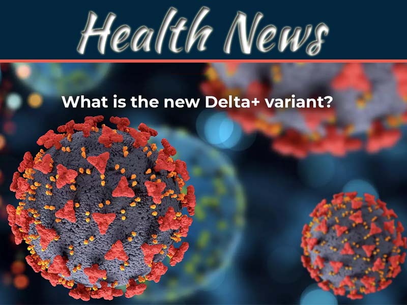 Things You Should Know About Delta Variant And Precautions To Protect Yourself