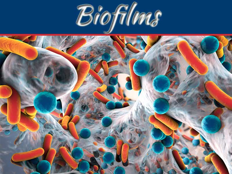 What Are Biofilms, And How To Heal Them?