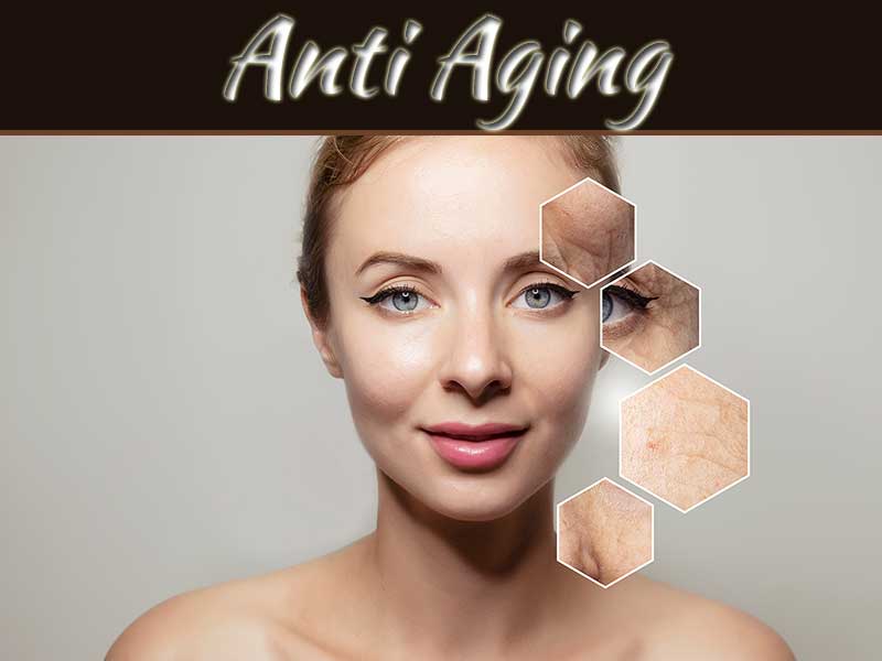 Harvard Scientists Unveil Anti-Aging Drug Combination To Reverse Aging In Record Time